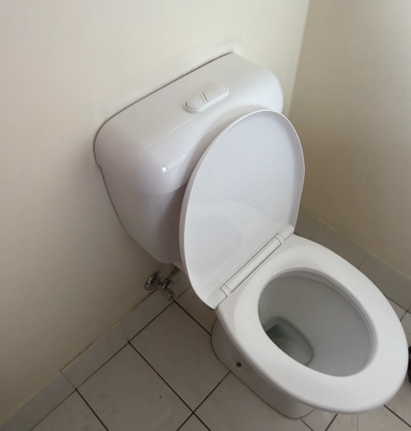 Toilet with a new cistern after repair